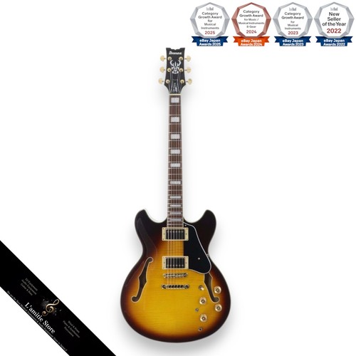 Guitare semi acoustique ibanez - semi-acoustique,