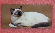 Nestlé WONDERS OF THE WORLD Card No. 110 THE CAT SACRED OF BURMA Chocolate