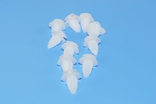 10 pièces Ford Focus