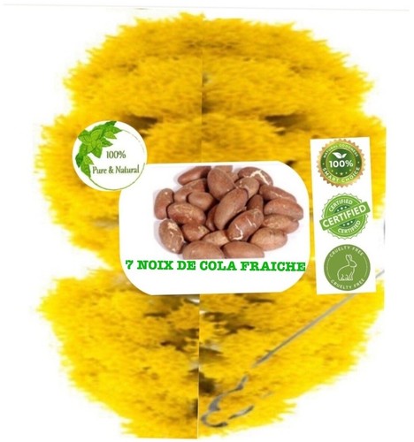 Noix petit cola fraiche - noix, de