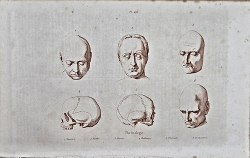 Gravure xixe phrenologie - phrenologie,