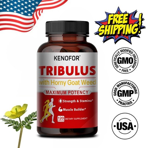 Tribulu terrestris 7000 - , de