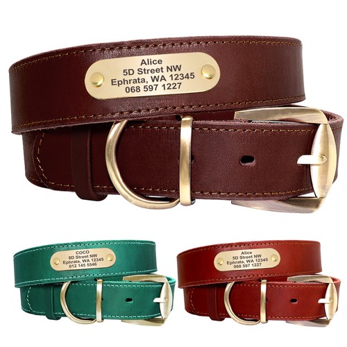 Collier chien personnalisé - de,