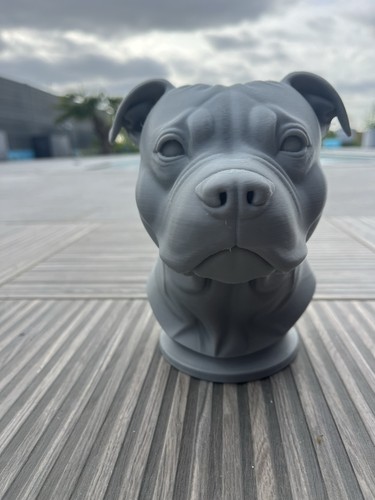 Statue figurine buste tête - , de