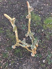 2 ANCIEN PIEDS DE BANC EN