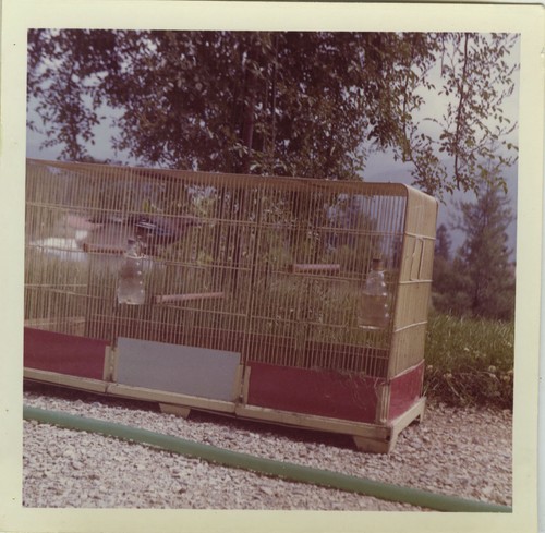 Photo ancienne vintage - -,