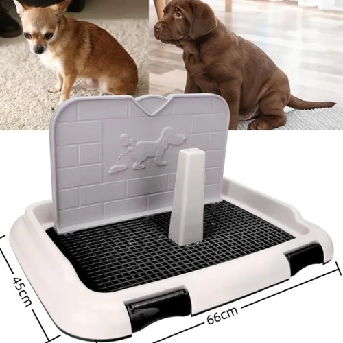 Toilette chien bac - chien,