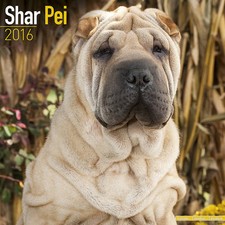 Calendrier 2016 - SHAR PEI