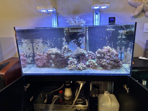 Red sea reefer - 350, saltwater