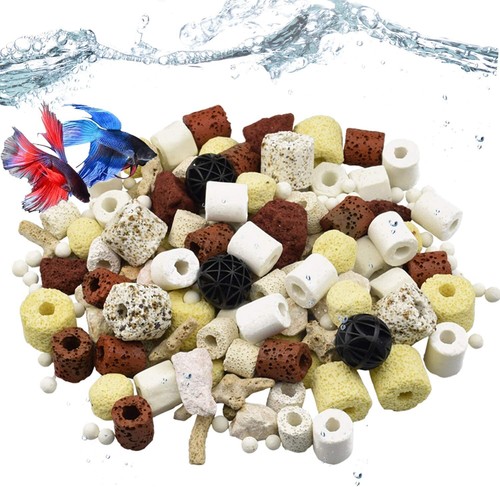 6lb 6pack 1 - 6lb, aquarium