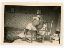 PHOTO snapshot, vintage vintage toy plush giant mouse mouse Donald Duck