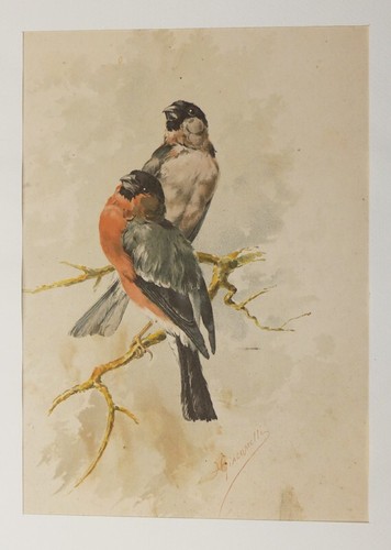 Lithographie xixe siècle - lithographie,