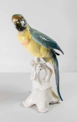 Antique german porcelain - porcelain, macaw