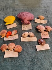 LOT DE 8 SACHETS DE 14