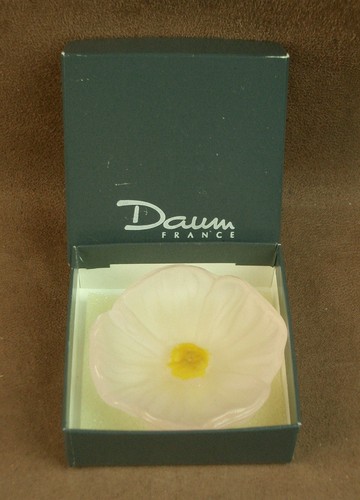 Belle fleur cactus pâte - fleur, de