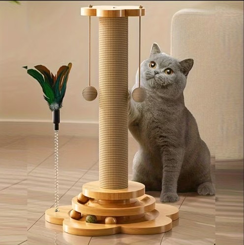 Grattoir pour chat - pour,