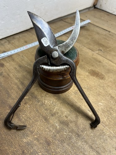 Outil ancien vigneron - ancien, vigne