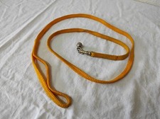 Laisse pour petit chien, chat