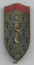 Health Badge, 3 Military Nurses Section