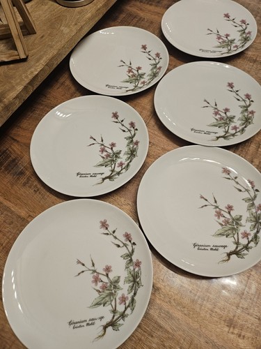 Lot assiettes fromages ou - 6,