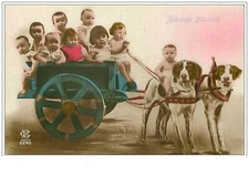 CHIENS.VOITURE A CHIEN.BONNE