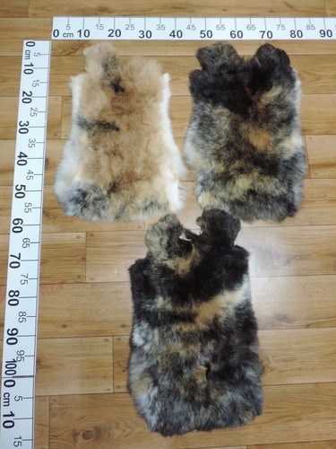 Top xxl peau lapin peaux - peaux, de