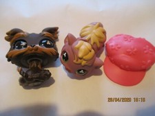 PETSHOP DUO: YORSHIRE DOG "RELIEF EYES" N°509 + GUINEA PIG N°510