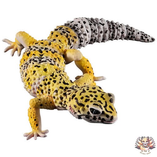 Mini figurine avancée