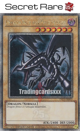 Dragon noir aux - noir,