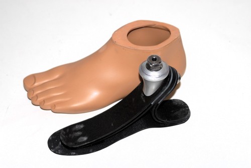 Otto bock 1c30 - bock, foot