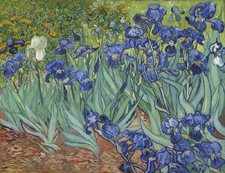 Reproduction du tableau iris de vincent van gogh (104 x 80 cm)