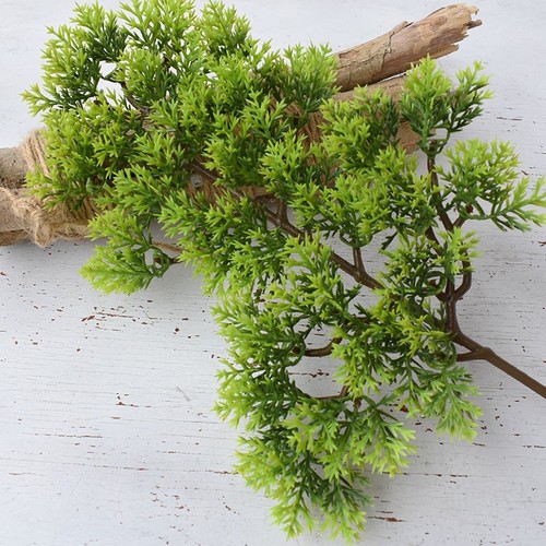 Pour feuilles plante - feuilles,