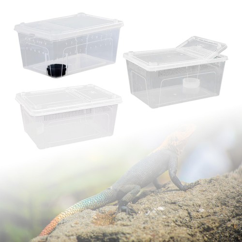 Boîte élevage transparente - d'élevage,