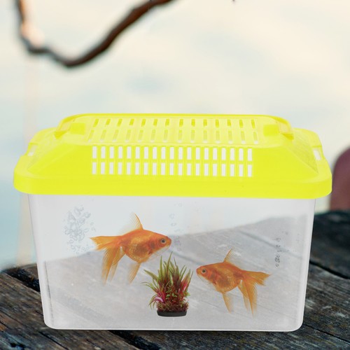 Aquarium transparent pour