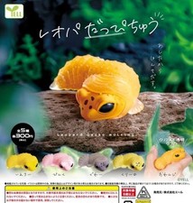 Leopard gecko au milieu de la