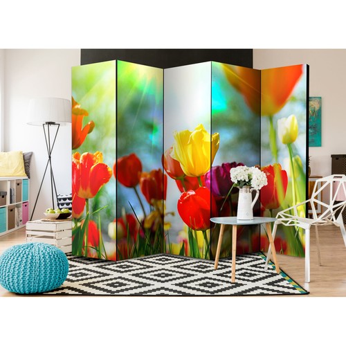 Paravent volets spring - 5, "spring