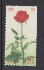 Thailand 2005 Roses Rose