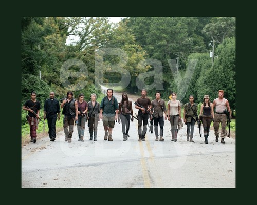 The walking dead - the,