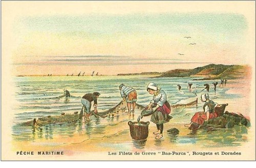 Peche maritime aux - peche.peche,