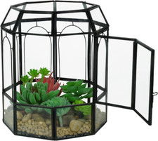 Glass Terrarium Plants with Lid, Black Geometric Terrarium Jar for Succulent Air