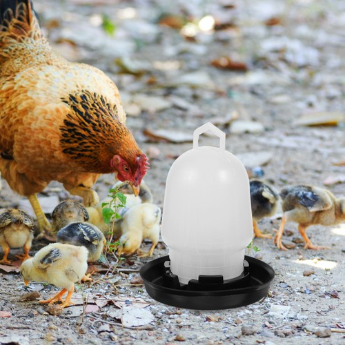 Abrevoir poules abreuvoir - poules,