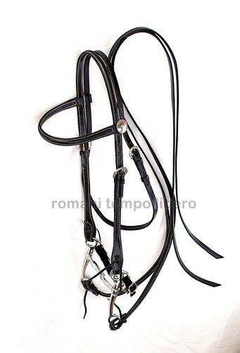 Bridle western cuir - western, en