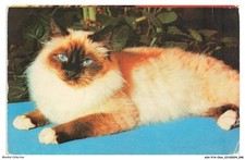 ASVP14-1073-CAT - Sacred Burma