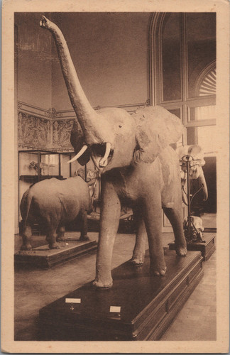 Musée congo belge le - musée, belge,
