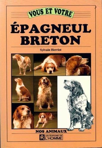 Vous votre épagneul - vous,