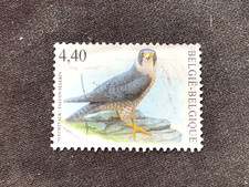 BELGIUM 2008 BIRDS 4.40 SLECHTVALK FAUCON PELERIN PEREGRINE FALCON - USED 4.40E