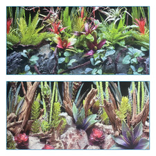poster fond aquarium reversible 150 X 60 cm  terrarium / cactus