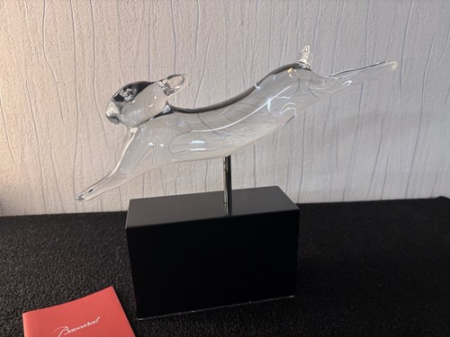 Lapin courant pompon - lapin, f.