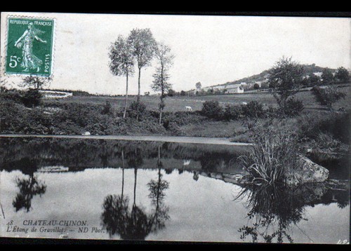 Chateau chinon bovins - chateau-chinon, en