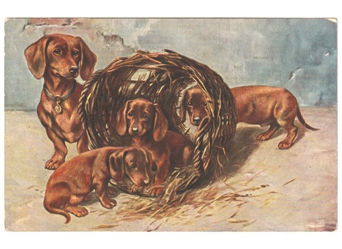 Ancienne carte postale maman - ancienne,